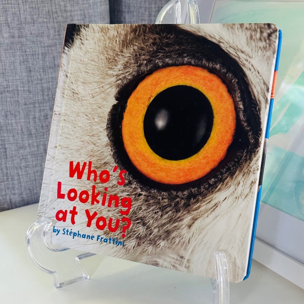 Who's Looking At You? Stephane Frattini Lift-the-Flap Picture Book